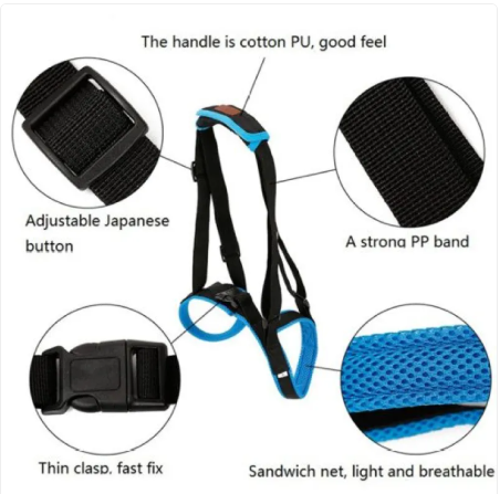 Harness features: padded handle, adjustable buckle, quick-release clasp, breathable mesh